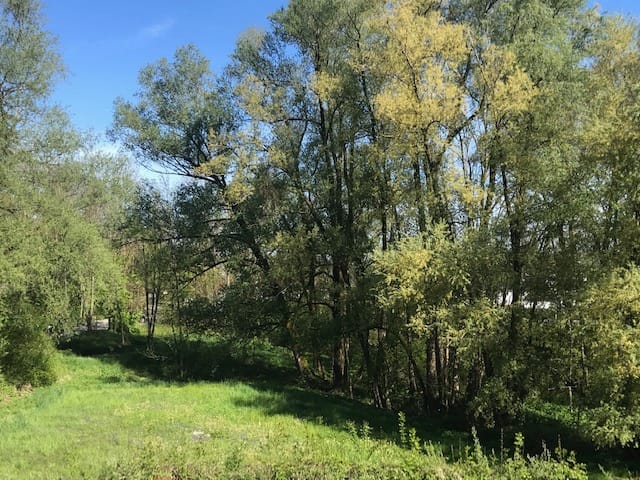 Neubau Volksschule Forach