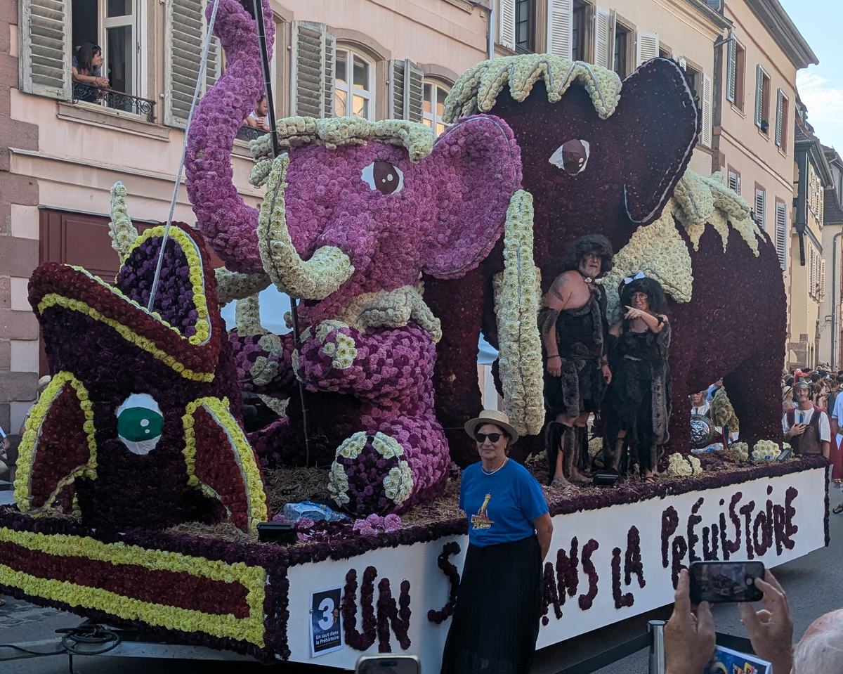 Reise zum Blumencorso nach Sélestat