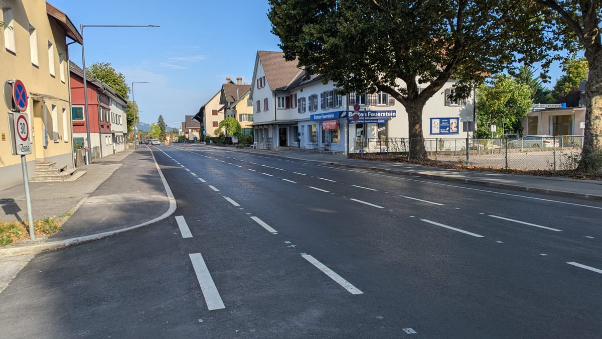 Lust auf die "neue" Lustenauerstraße?
